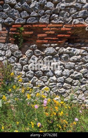 Fiori di campo e muratura romana a Villa Jovis sull'Isola di Capri Foto Stock