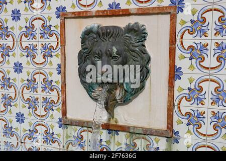 Una caratteristica acquatica con una testa di leone su una ceramica Piastrelle sfondo in una piazza pubblica a Estepona in Spagna Foto Stock