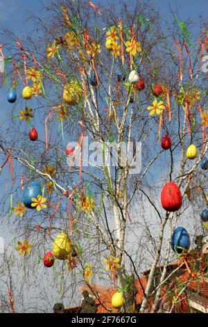 Decorazione di pasqua sulla piazza della città vecchia di Praga, Repubblica Ceca. Foto Stock