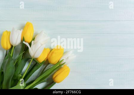 Tulipani bianchi gialli di legno di menta sfondo. Simulate il compleanno, il matrimonio, il giorno della mamma e il giorno internazionale della donna. Disposizione piatta, vista dall'alto di un bouqu regalo Foto Stock