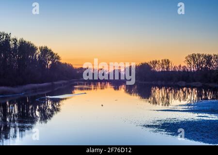 Nationalpark Donauauen, Parco Nazionale del Danubio-Auen: lago di oxbow Kühwörther Wasser, uccello al decollo a Donau, Niederösterreich, bassa Austria, Austria Foto Stock