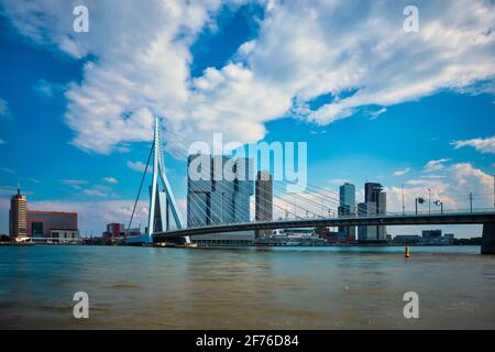 Vista del paesaggio di Rotterdam con il ponte Erasmusbrug su Nieuwe Maas e grattacieli di architettura moderna Foto Stock