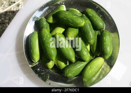 Edibile Ivy gourd o Kundru (Coccinia grandis) in una ciotola Foto Stock