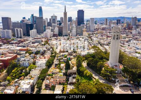Coit Tower e il centro di San Francisco, California, Stati Uniti Foto Stock