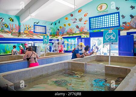 Turisti in visita a Tortugranja, vivaio di tartarughe marine e santuario di Isla Mujeres, isola nello stato messicano Quintana Roo, penisola di Yucatán, Messico Foto Stock