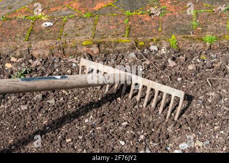 Rastrello da giardino che viene utilizzato per preparare il terreno sporco di un letto di fiori da giardino prima di piantare fuori, immagine foto stock Foto Stock