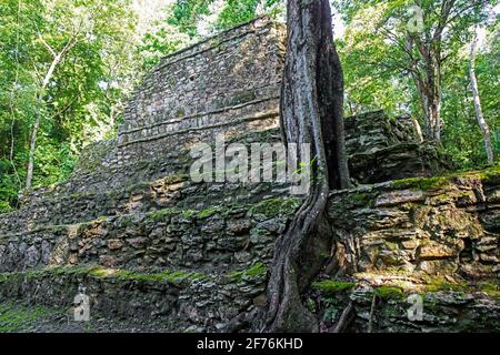 Antiche rovine Maya a Muyil / Chunyaxché nella Riserva della Biosfera di Sian Ka'an, Felipe Carrillo Puerto, Quintana Roo, Penisola di Yucatán, Messico Foto Stock