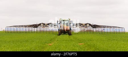 Trattore con una barra di dribble dello spanditore di liquame Tramspread e un alesatore di tubi montato, che applica la pasta ai raccolti giovani in un campo. Hertfordshire, Regno Unito Foto Stock