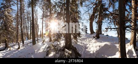 Panorama invernale dal monte Kocheler Sonnenspitz in Baviera, Germania in inverno Foto Stock