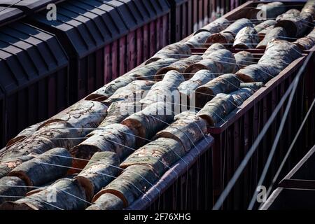 Treno cargo. Trasporti ferroviari. Trasporto ferroviario. Industria globale e internazionale del trasporto merci. Foto Stock