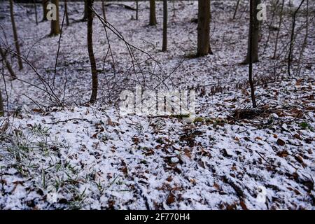 L'illustrazione mostra un paesaggio innevato a Tubize, lunedì 05 aprile 2021. FOTO DI BELGA LAURIE DIEFFEMBACQ Foto Stock