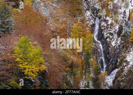 Autunno boschi misti e torrenti che discendono dalla valle Besiberri alla valle Barrabés (Valle Aran, Pirenei, Catalogna, Spagna) Foto Stock