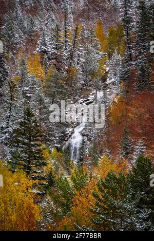 Autunno boschi misti e torrenti che discendono dalla valle Besiberri alla valle Barrabés (Valle Aran, Pirenei, Catalogna, Spagna) Foto Stock