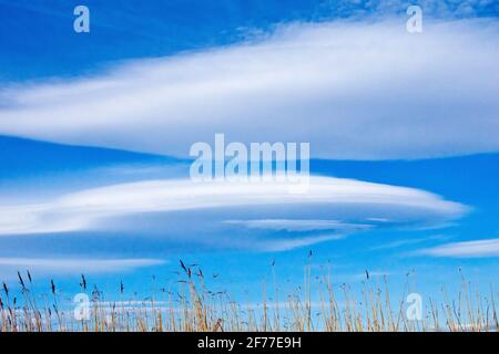 Grandi nuvole lenticolari bianche (altocumulus lenticularis) si formano nel cielo in un giorno di primavera luminoso ma ventilato. A volte chiamate nubi di navicella spaziale. Foto Stock