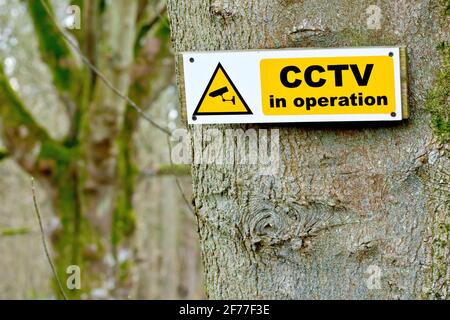 Primo piano di un cartello di avvertimento attaccato ad un albero sul bordo di un bosco privato che indica che la TVCC è in funzione. Foto Stock