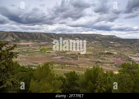 Campi di alberi da frutto a Mequinenza, visti da vicino al Castello di Mequinenza (Bajo Cinca, Aragona, Spagna) ESP: Campos de árboles frutales de Mequinenza Foto Stock