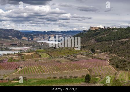 Campi di alberi da frutto a Mequinenza, visti da vicino al Castello di Mequinenza (Bajo Cinca, Aragona, Spagna) ESP: Campos de árboles frutales de Mequinenza Foto Stock