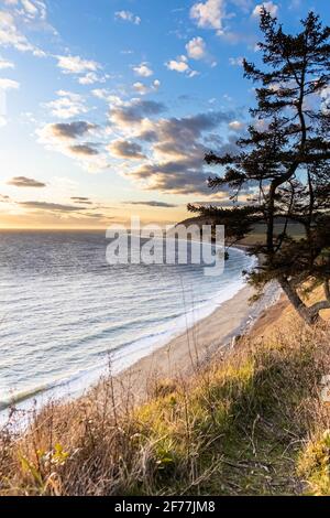 La costa di Whidbey Island lungo il parco storico nazionale di Ebey's Landing a Washington. Foto Stock