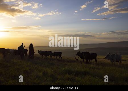 Tanzania, Ngorongoro, regione di Arusha, Boma Mokila, zona protetta di Ngorongoro, Un paio di pastori Massai che bevono al tramonto Foto Stock