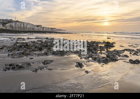 Francia, Somme, Ault, le scogliere della Piccardia al tramonto ad Ault e l'altopiano calcareo vicino alla spiaggia di sabbia Foto Stock