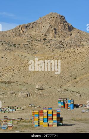 Iran, provincia dell'Azerbaigian occidentale, regione di Maku, alveari Foto Stock