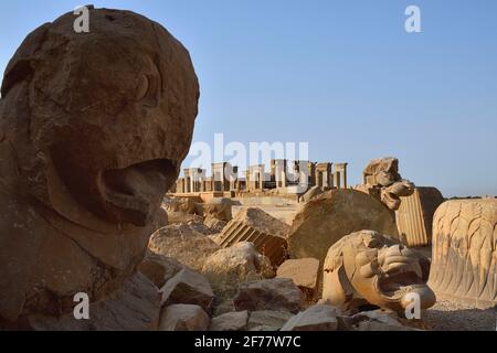 Iran, Persepoli, patrimonio mondiale dell'UNESCO, colonne e capitali spezzati e palazzo Dario Foto Stock