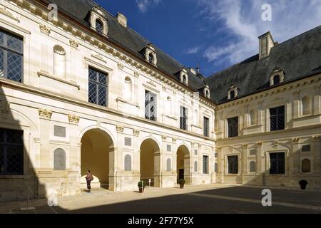 Francia, Yonne, Ancy le Franc castel Foto Stock