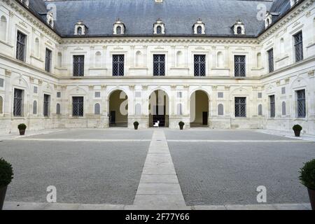 Francia, Yonne, Ancy le Franc castel Foto Stock