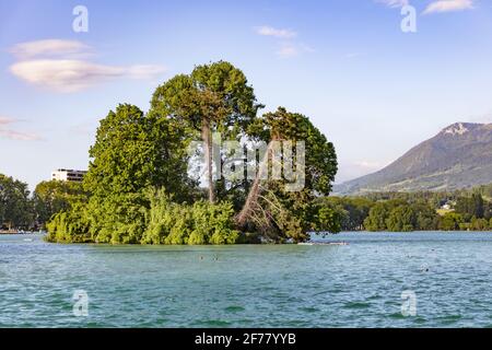 Francia, alta Savoia, Annecy, Lago di Annecy, isola di cigno Foto Stock