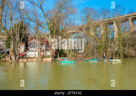 Francia, Val de Marne, le Perreux sur Marne, l'Isola dei Lupi durante l'alluvione della Marna Foto Stock