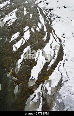 Il fiume Cheremosh Nero in Verkhovyna è coperto di ghiaccio e neve, Ucraina Foto Stock