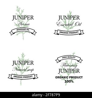 Set logo Juniper Natural con elemento disegnato a mano isolato su sfondo bianco. Illustrazione vettoriale in stile vintage Illustrazione Vettoriale