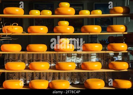 Vetrina che mostra le ruote di formaggio in file su tavole di legno Nel quartiere centrale di Amsterdam nei Paesi Bassi Foto Stock