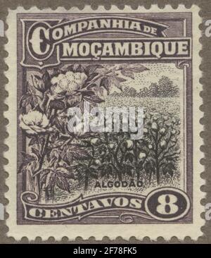 Timbro dell'Associazione Filatelista di Gösta Bodman, iniziato nel 1950. Il francobollo dal Mozambico Kompaniet, 1918. Movimenti di coltivazione del cotone. "NUV. Colonia portoghese: Mocambiqye, era decima durante la somministrazione di M. Kompaniet (= Companhia de Mozambico'. Foto Stock