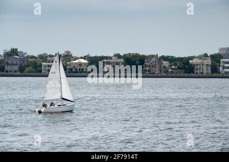 Una sola barca a vela che naviga sul fiume Cooper tra Charleston E Sullivan's Island Foto Stock