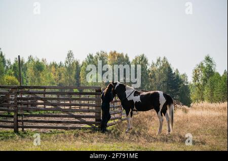 Giovane bambina stabile lega un cavallo marrone con macchie bianche ad una recinzione. Foto Stock