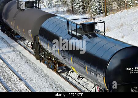 Un treno merci nazionale canadese caricato con le automobili del carro armato che viaggiano in una zona boscosa delle montagne rocciose dell'Alberta Canada. Foto Stock