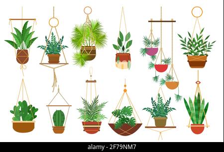 Appendere pentole piante Illustrazione Vettoriale