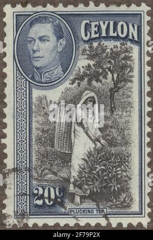 Francobollo dell'incarico filatelista di Gösta Bodman, iniziato nel 1950. Il francobollo da Ceylon, 1935. Motivi di 'Théblockerk' su Ceylon. TV. Re George noi. Foto Stock