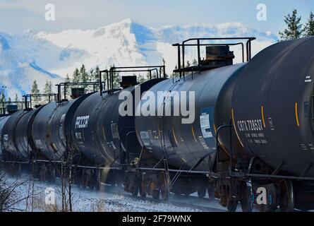 Un treno merci nazionale canadese caricato con le automobili del carro armato che viaggiano in una zona boscosa delle montagne rocciose dell'Alberta Canada. Foto Stock