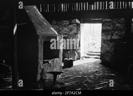 Il puzzolente. Foto Stock