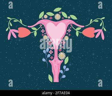 utero femminile con fiori decorativi Illustrazione Vettoriale