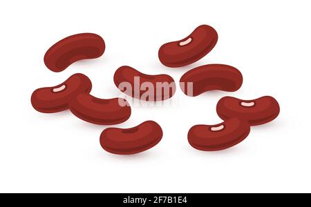 Fagioli rene legume rosso seme marrone. Rene fagiolo pianta vegetale silhouette piatta illustrazione Illustrazione Vettoriale