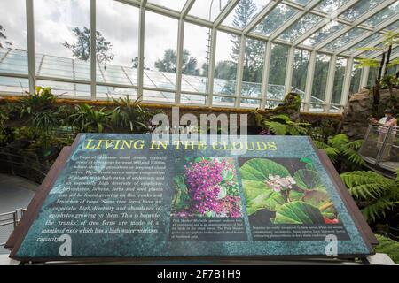 Interno della Cool House Sembcorp al National Orchid Garden, Singapore. Foto Stock