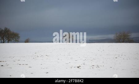 Vicino a Tynygraig, Ceredigon, Galles, Regno Unito. 06th April 2021 UK Weather: Freddo mattina come aree di Ceredigon a metà Galles ottiene una copertura bianca di neve. Foto scattata vicino a Tynygraig. © Ian Jones/Alamy Live News Foto Stock