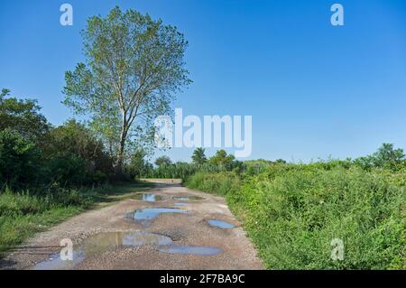 Grandi pozzanghere su una strada sterrata che si snoda tra campi coltivati in una giornata di sole. Foto Stock