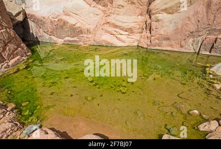 Piscina con acqua dolce sotto la sporgenza nel deserto canyon di montagna Foto Stock