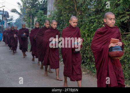 Monaci che camminano per le strade di Bago raccogliere donazioni di cibo, Bago, Myanmar Foto Stock