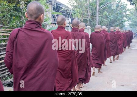 Monaci che camminano per le strade di Bago raccogliere donazioni di cibo, Bago, Myanmar Foto Stock