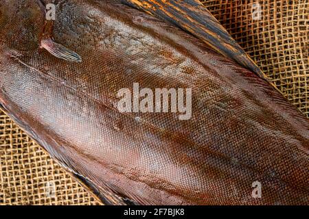 Pesce di sogliola fresco crudo. Scala di pesce primo piano. Foto Stock